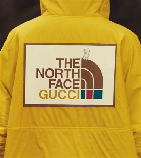 the north face collab gucci|gucci north face shop.